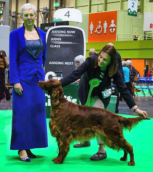 Babs crufts 2019 czapla