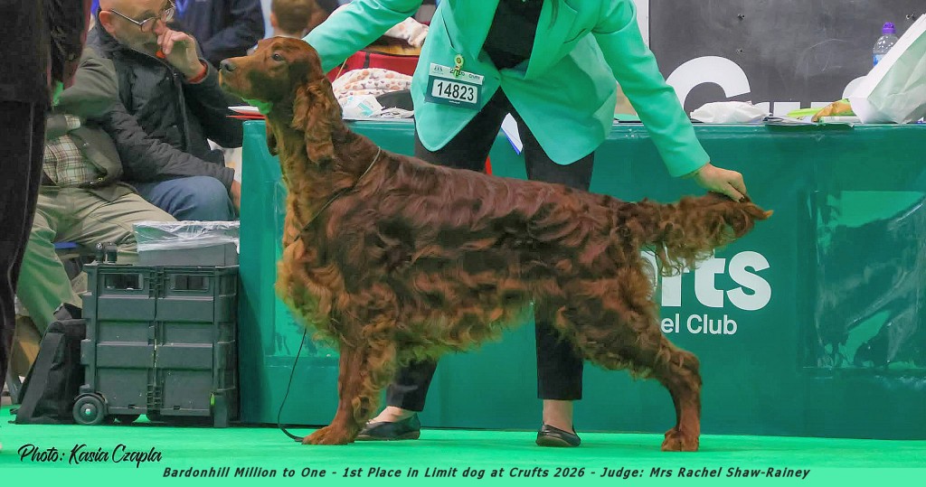 Sasha_Crufts_2026_Kasia_Czapla2